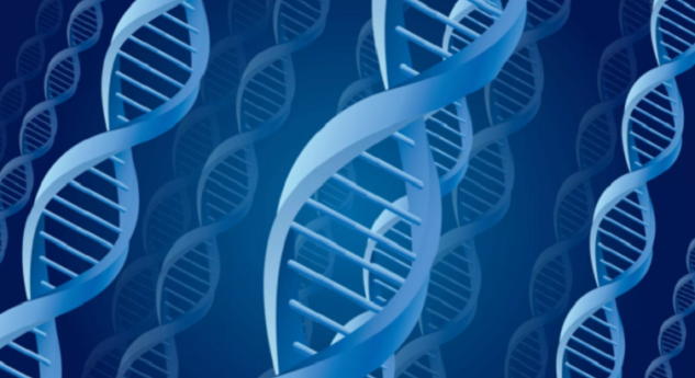 Wspólne DNA: Jak dużo DNA dzielisz z krewnymi?