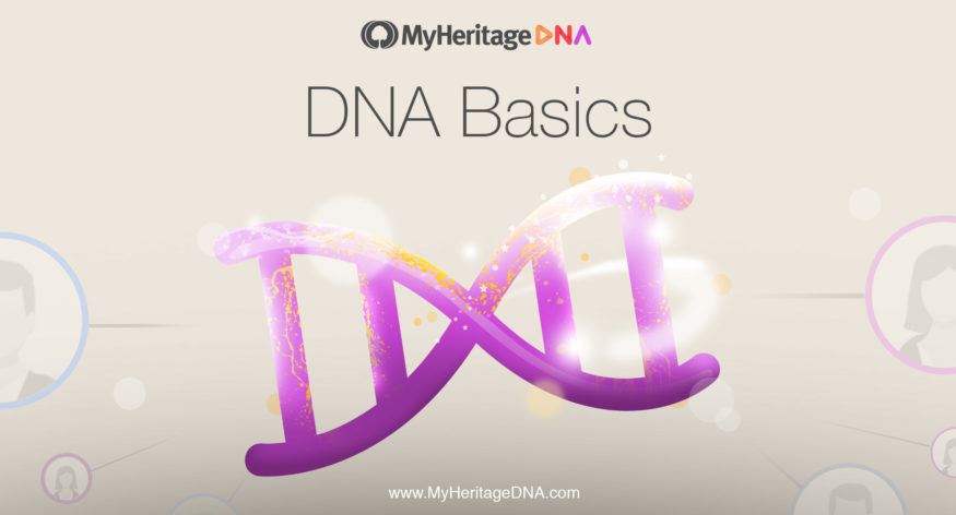 Podstawy DNA 2: Struktura DNA