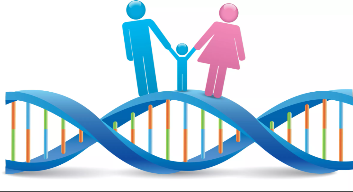 Dzielisz około 50% swojego DNA z każdym z rodziców.