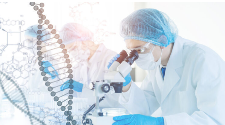Genealogia i pochodzenie etniczne: Dlaczego warto wykonać test DNA?