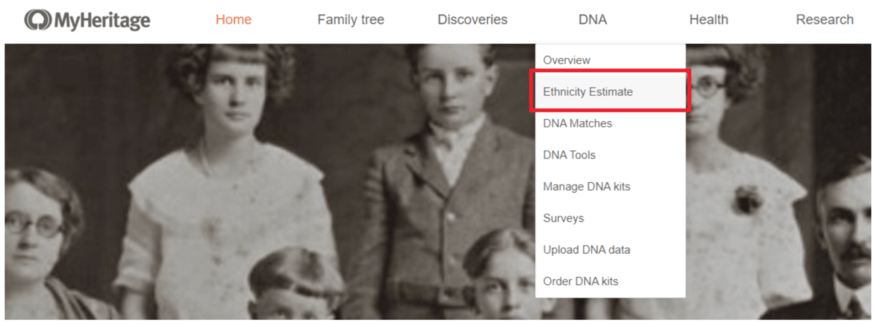 Uzyskiwanie dostępu do grup genetycznych na stronach MyHeritage