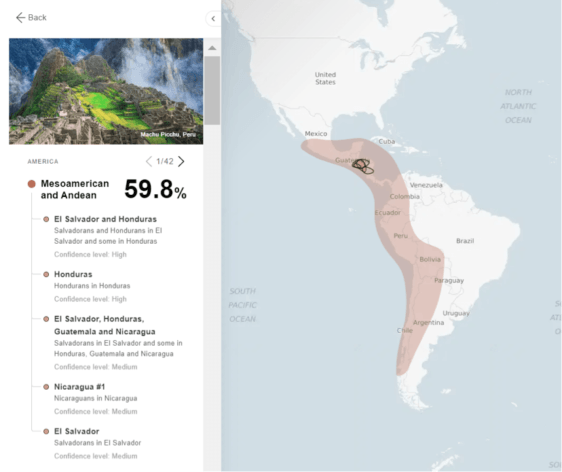 Przegląd grup genetycznych dla mezoamerykańsko-andyjskiej grupy etnicznej (kliknij, aby powiększyć)