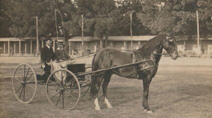 MyHeritage i OldNews.com ujawniły kryminalną przeszłość mojego prapradziadka… i jego zadziwiającą determinację