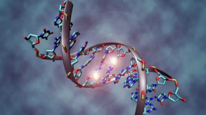 Przewodnik po Wspólnym DNA (Współdzielonym DNA): Jak lepiej zrozumieć swoje Dopasowania DNA?