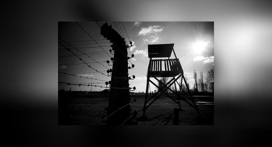 Wyszukiwarka więźniów obozu Auschwitz – Birkenau