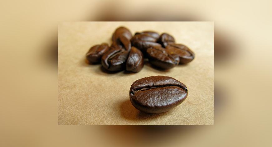Geny wpływające na jakość kawy